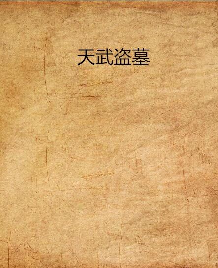 天武盜墓