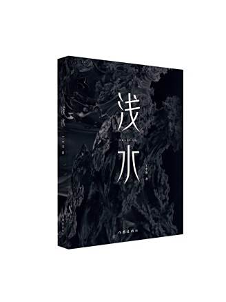 淺水(丁中冶創作的青春文學作品)
