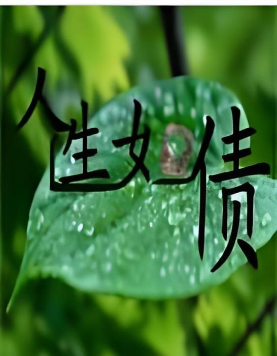 人生如債 人生如債