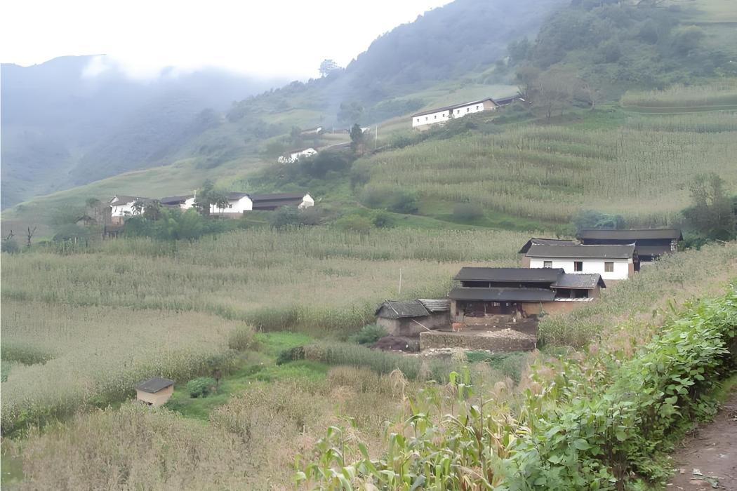 麻地村(河北省承德市興隆縣青松嶺鎮下轄村) 麻地村(河北省承德市興隆縣青松嶺鎮下轄村)