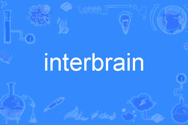 interbrain interbrain