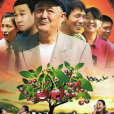 櫻桃(2012年宋小寶主演電視劇) 櫻桃(2012年宋小寶主演電視劇)