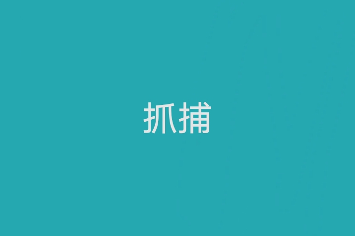 抓捕(漢語辭彙) 抓捕(漢語辭彙)