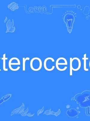 exteroceptor exteroceptor