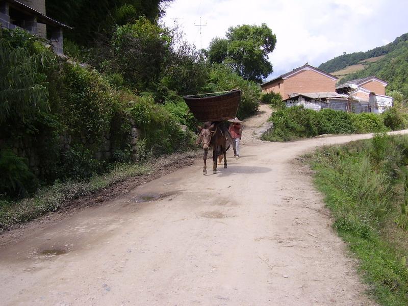 水箐村(雲南省騰衝縣界頭鄉水箐村) 水箐村(雲南省騰衝縣界頭鄉水箐村)