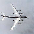 圖-95轟炸機(TU-95轟炸機)