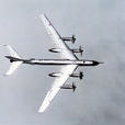 圖-95轟炸機(圖95) 圖-95轟炸機(圖95)