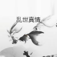 亂世真情 亂世真情