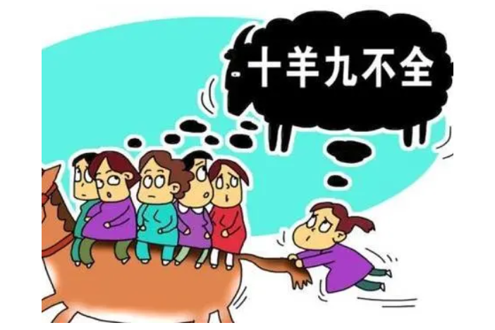 十羊九不全 十羊九不全