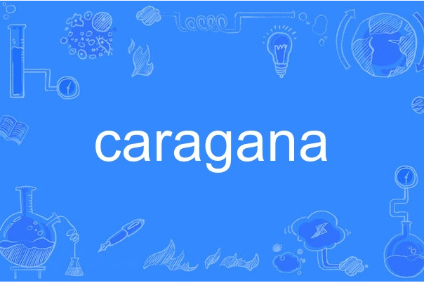 caragana caragana