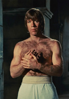 猛龍過江(1972年李小龍自導自演電影) 猛龍過江(1972年李小龍自導自演電影)