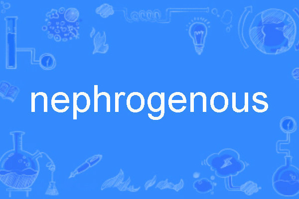 nephrogenous nephrogenous