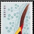 長套票 長套票