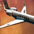 C-20 C-20