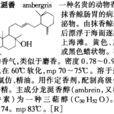 龍延香 龍延香