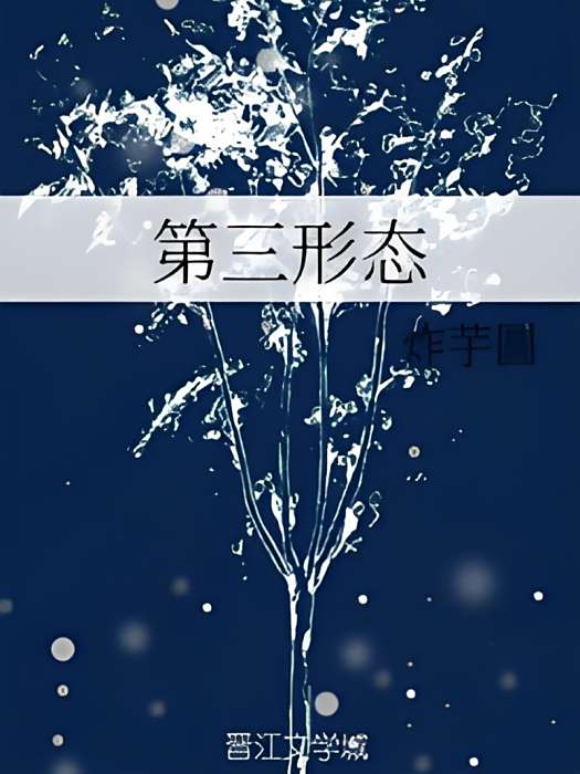 第三形態 第三形態