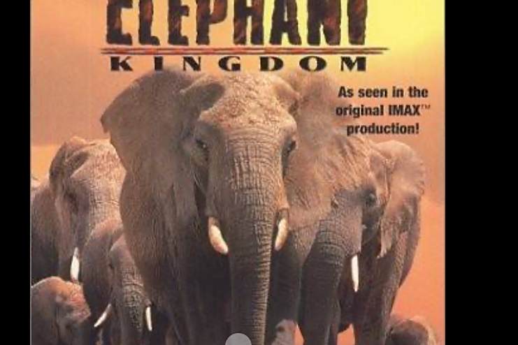 Africa\x27s Elephant Kingdom Africa\x27s Elephant Kingdom