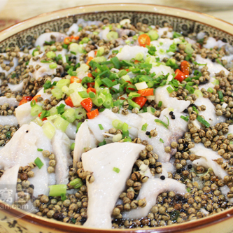 花椒魚 花椒魚