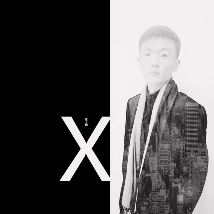 《X》專輯 《X》專輯