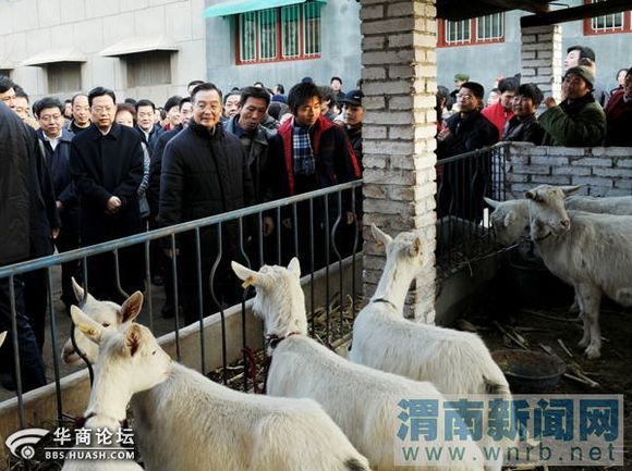 王寮鎮 王寮鎮