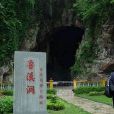 武寧魯溪洞 武寧魯溪洞