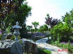 宋官疃鎮植物園