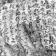 葉宗留 葉宗留