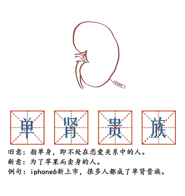 單腎貴族 單腎貴族