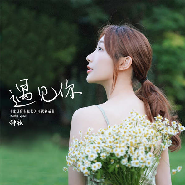 遇見你(電視劇《走進你的記憶》插曲) 遇見你(電視劇《走進你的記憶》插曲)