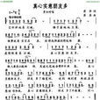 真心實意 真心實意