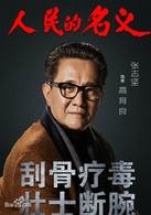人民的名義(2017年李路執導電視劇)