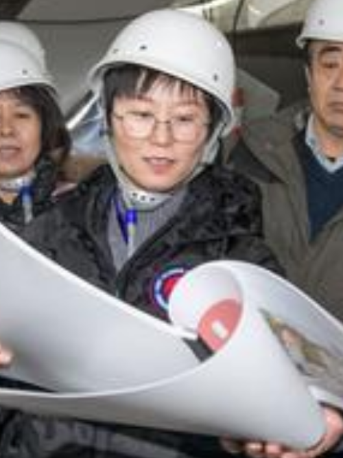 張妮娜(西安城牆投資(集團)有限公司設計部副部長) 張妮娜(西安城牆投資(集團)有限公司設計部副部長)