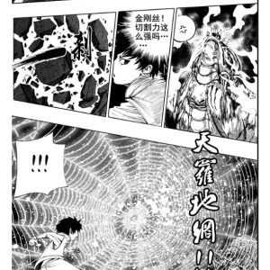 山蜘蛛