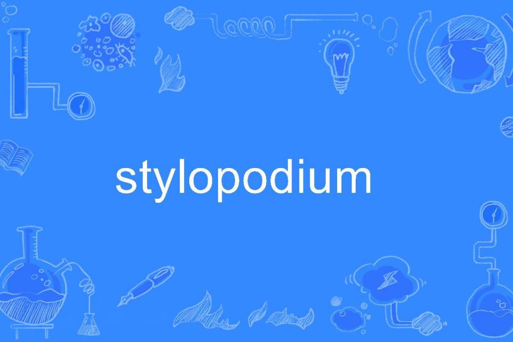stylopodium stylopodium