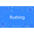 flushing flushing