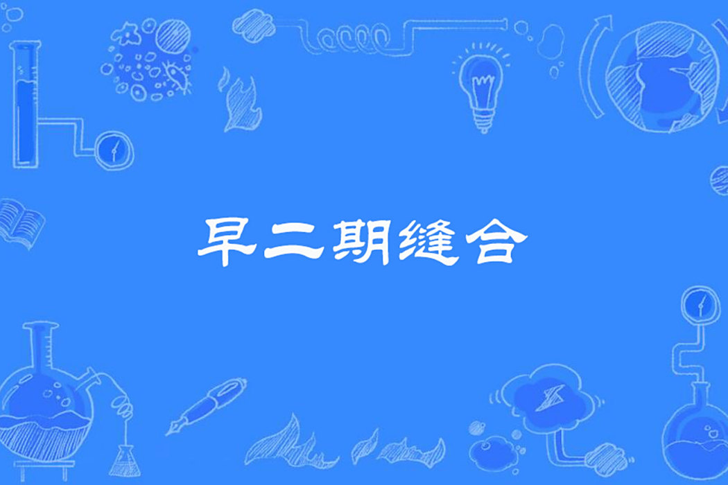 早二期縫合