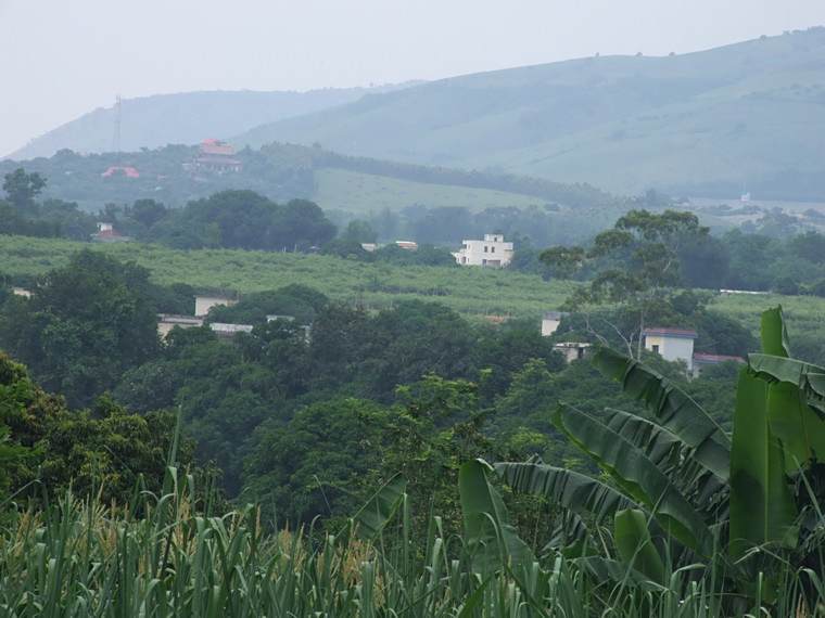 綠林田村