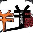影子經濟 影子經濟