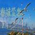 春城愛戀
