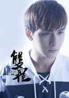 雙程(2016年高泰宇、黃靖翔主演電影)