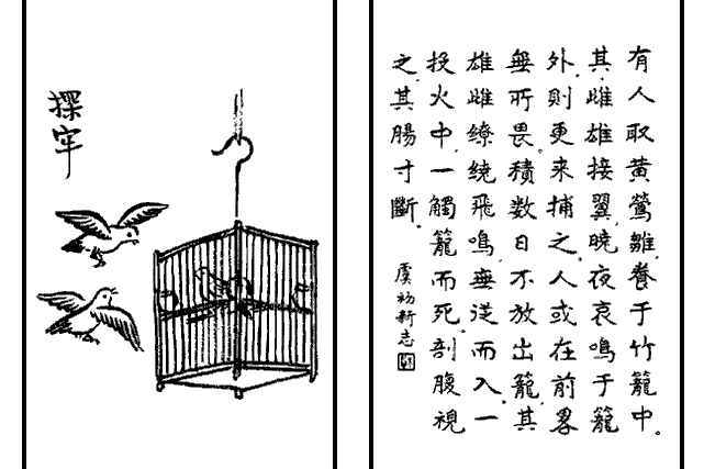 探牢(豐子愷《護生畫集》第四集中的文章) 探牢(豐子愷《護生畫集》第四集中的文章)