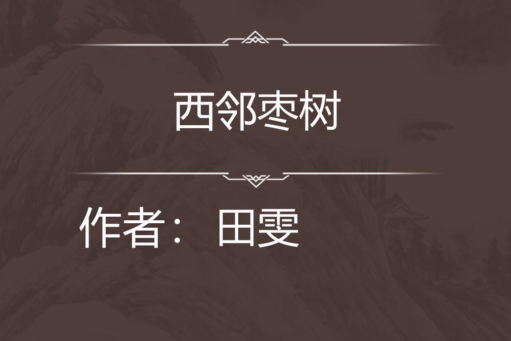 西鄰棗樹 西鄰棗樹