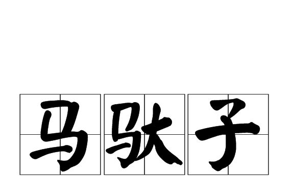 馬馱子