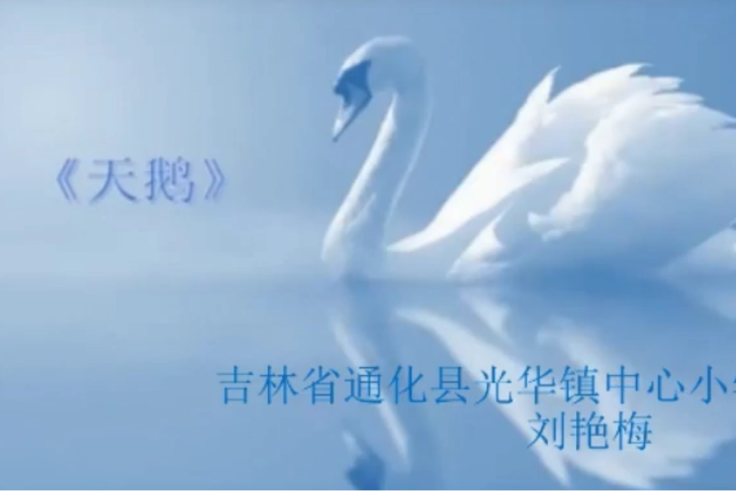 天鵝(通化縣光華鎮中心國小提供的微課課程) 天鵝(通化縣光華鎮中心國小提供的微課課程)