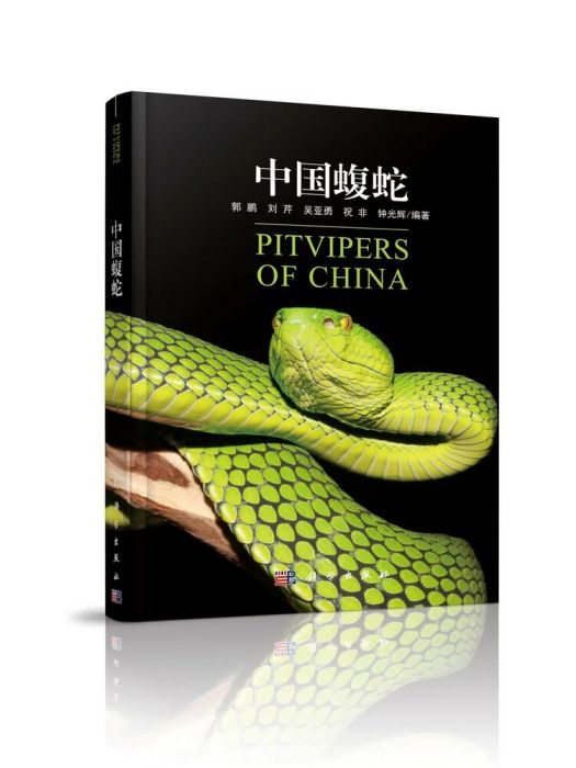中國蝮蛇 中國蝮蛇