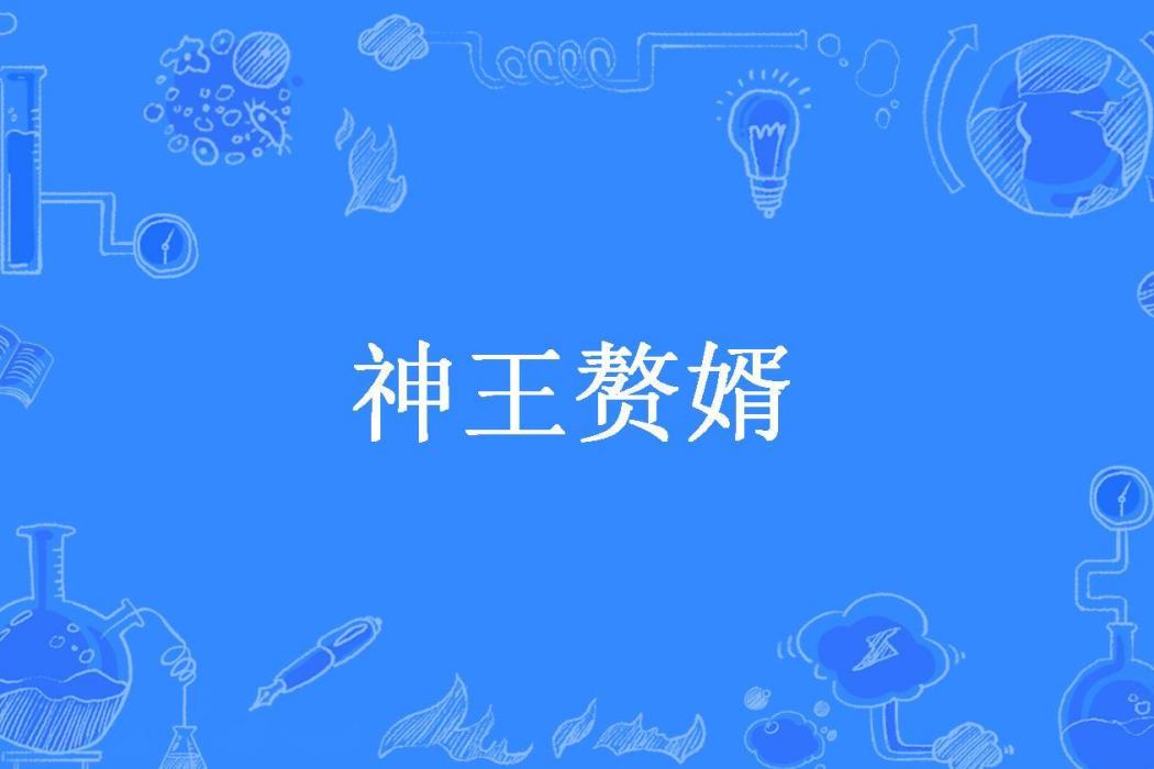 神王贅婿 神王贅婿