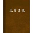 至尊靈魂 至尊靈魂