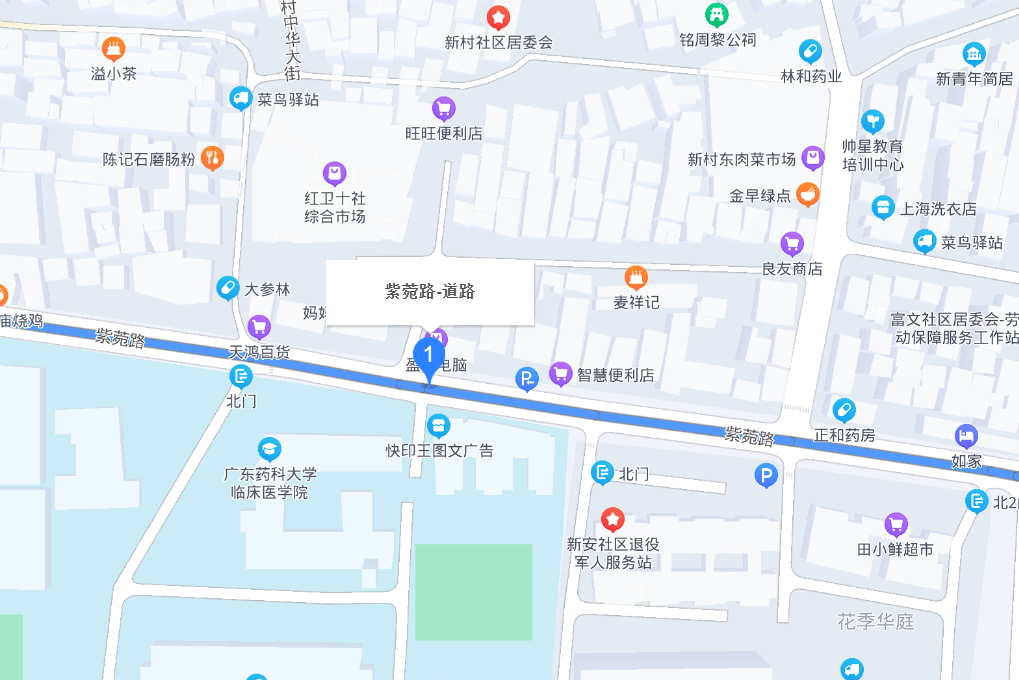紫菀路