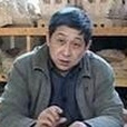 張鋼寧 張鋼寧