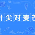 針尖對麥芒(漢語詞條) 針尖對麥芒(漢語詞條)